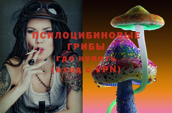 не бодяженный Алзамай