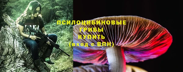 не бодяженный Алзамай