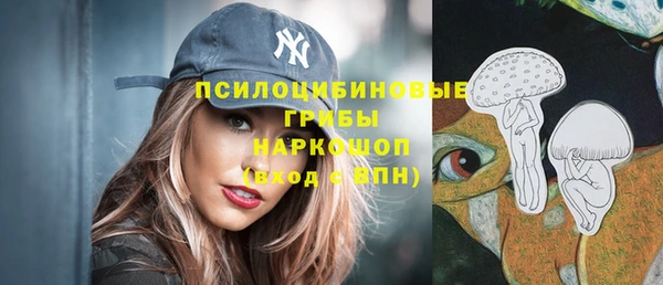не бодяженный Алзамай