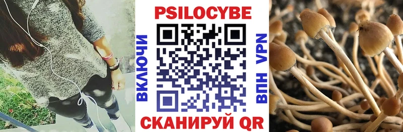 Псилоцибиновые грибы Magic Shrooms  сколько стоит  Цивильск 